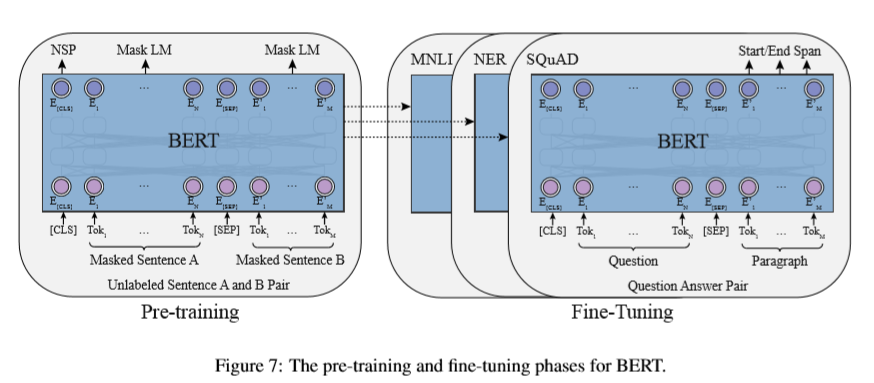 BERT 的预训练和微调